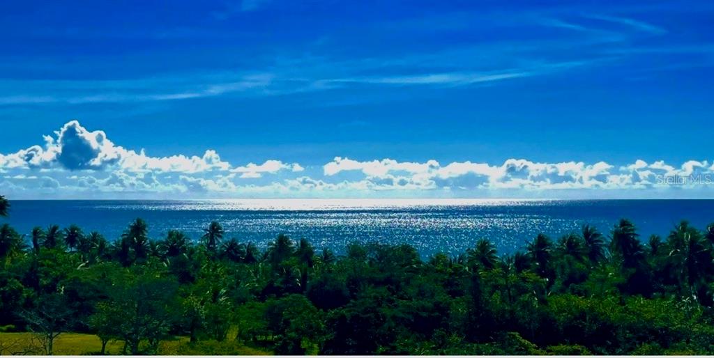 309, 5015, Punta Tuna, Maunabo - 10