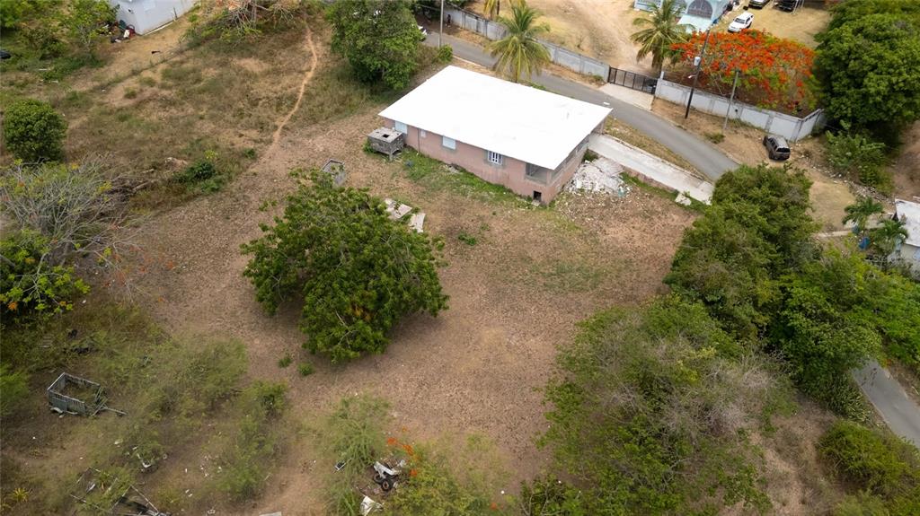 M-4, Monte Santo, Vieques - 12