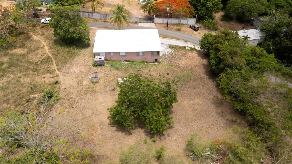 M-4, Monte Santo, Vieques - 13