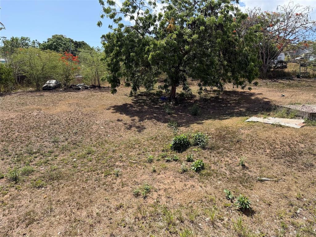M-4, Monte Santo, Vieques - 38