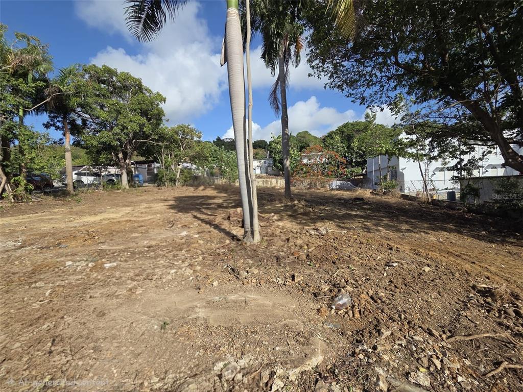144, Carretera 3, Ceiba - 4