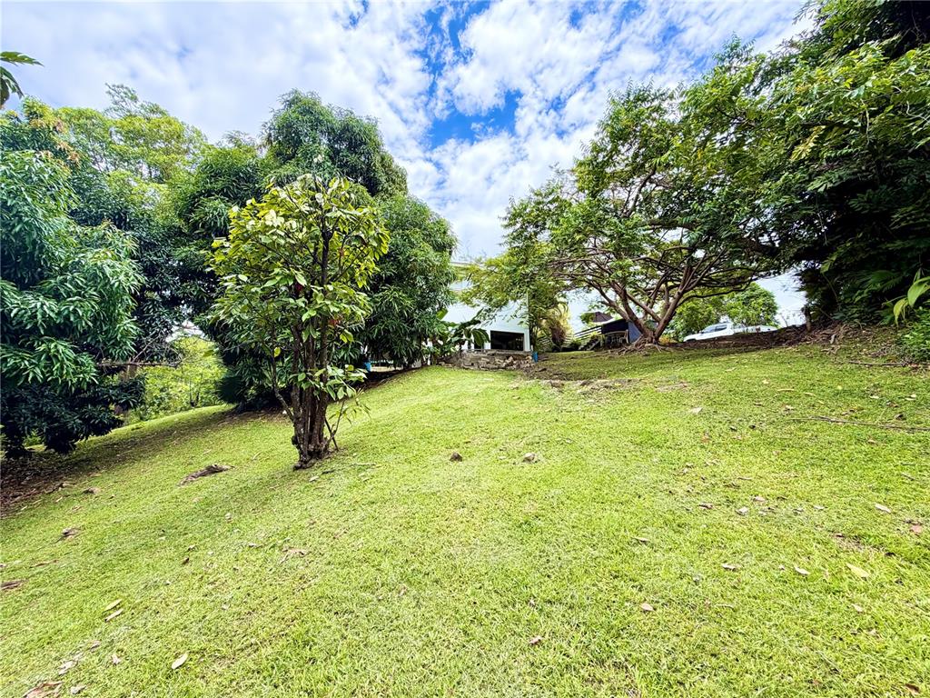1-e, Villas De Monte Verde, Ponce - 18