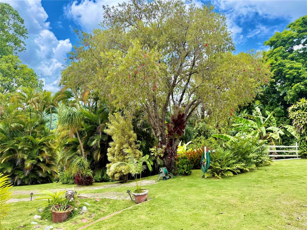 1-e, Villas De Monte Verde, Ponce - 19