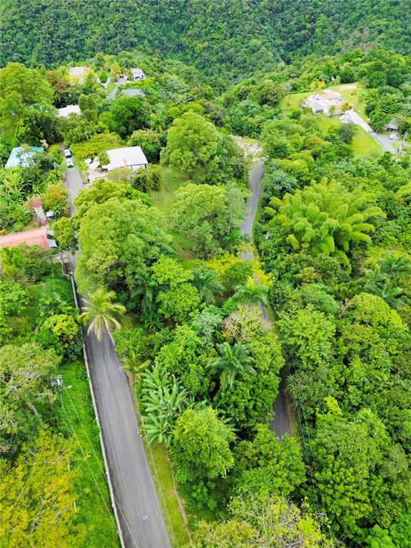 1-e, Villas De Monte Verde, Ponce - 2