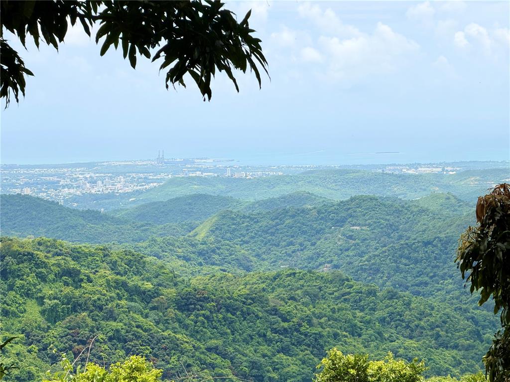 1-e, Villas De Monte Verde, Ponce - 21
