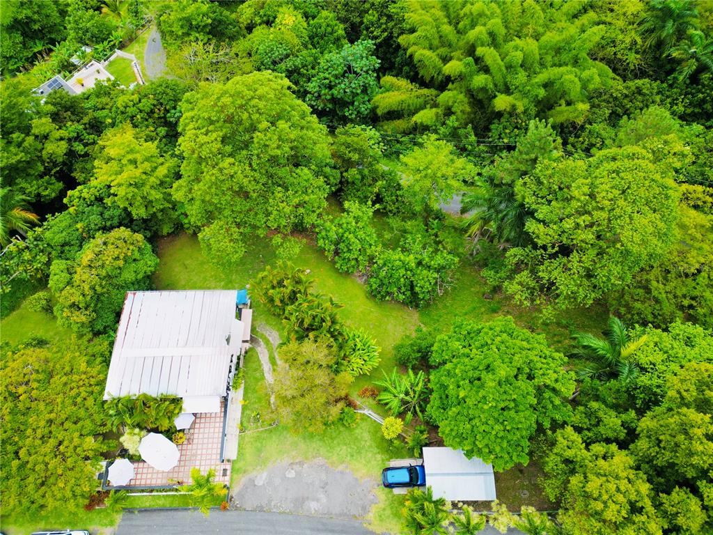 1-e, Villas De Monte Verde, Ponce - 3