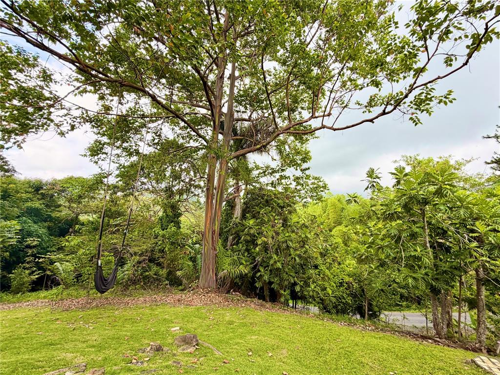 1-e, Villas De Monte Verde, Ponce - 9