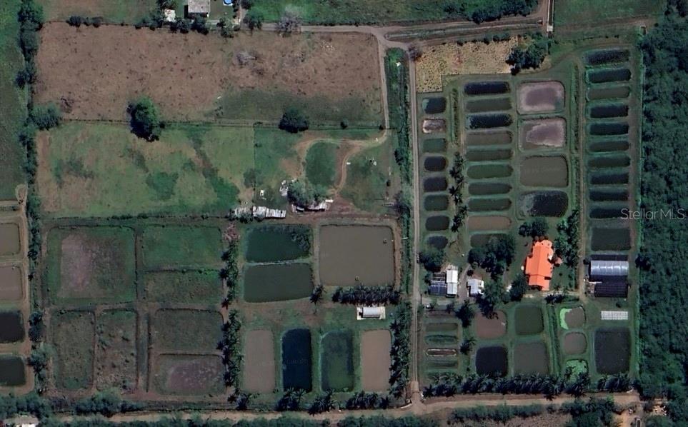 Sr 117 Km 9.9 Interior, La Plata St, Lajas - 11