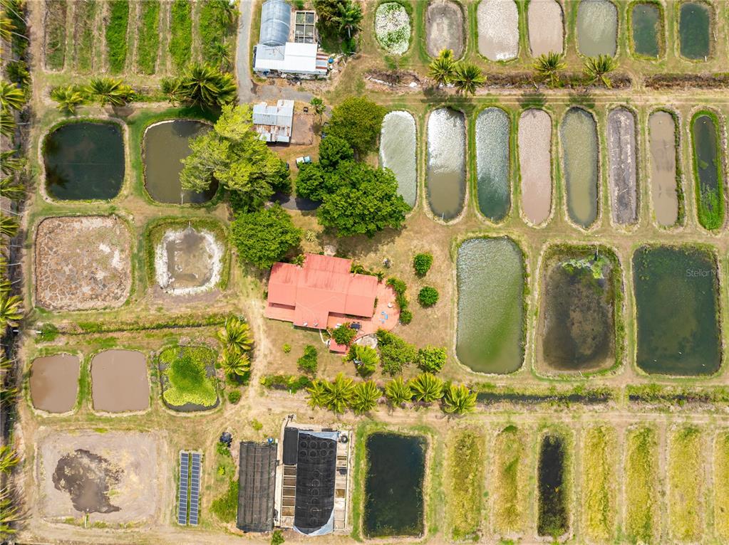 Sr 117 Km 9.9 Interior, La Plata St, Lajas - 51