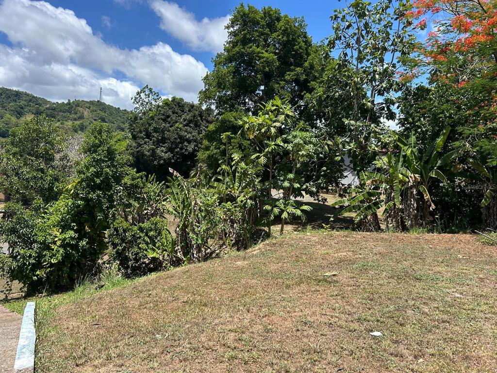 8, 181, Km 11, Trujillo Alto - 5