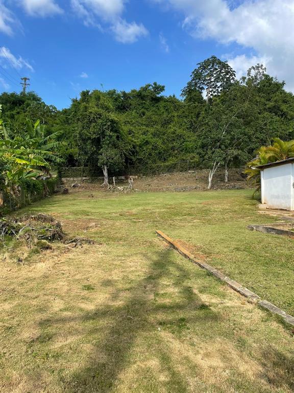 51, Calle Parque, Aguadilla - 14