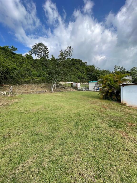 51, Calle Parque, Aguadilla - 15