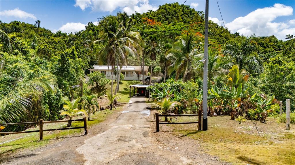 Comm Cienguetas #33, Bo Esperanza, Arecibo - 1