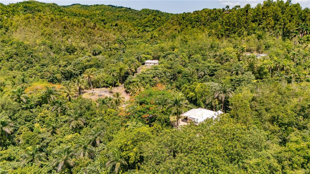 Comm Cienguetas #33, Bo Esperanza, Arecibo - 17