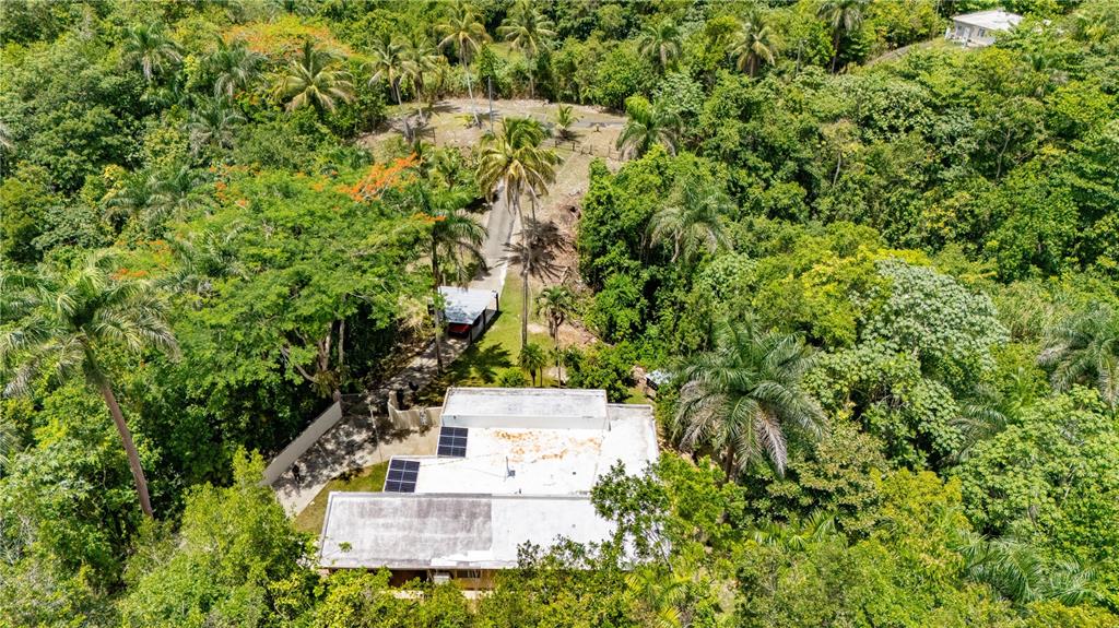Comm Cienguetas #33, Bo Esperanza, Arecibo - 18