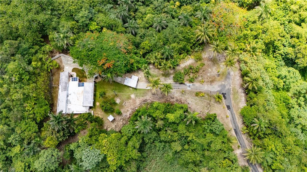 Comm Cienguetas #33, Bo Esperanza, Arecibo - 19
