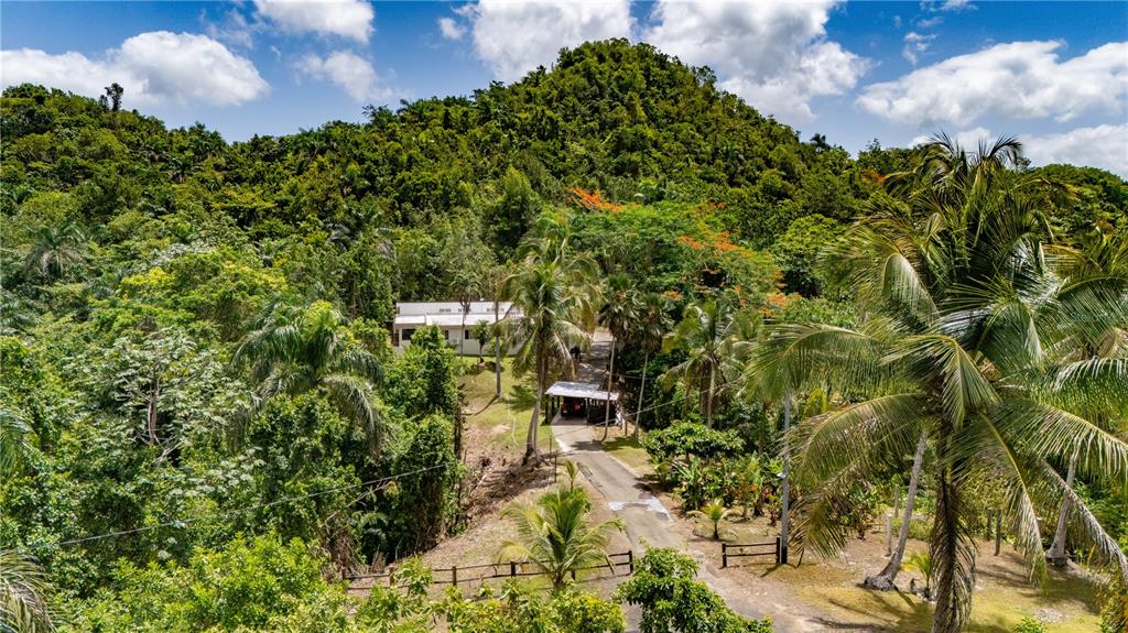 Comm Cienguetas #33, Bo Esperanza, Arecibo - 2