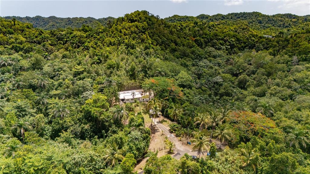 Comm Cienguetas #33, Bo Esperanza, Arecibo - 20