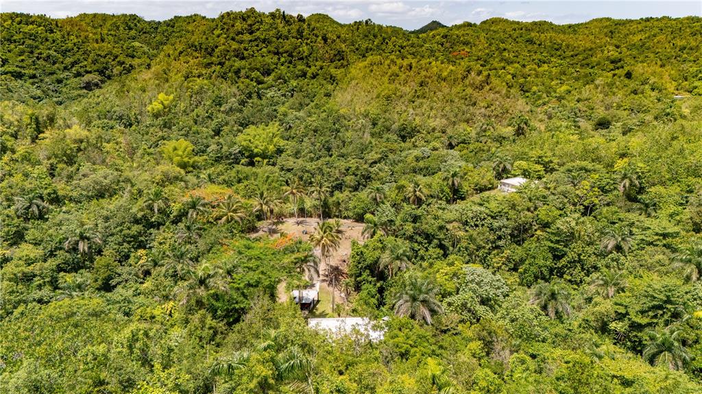 Comm Cienguetas #33, Bo Esperanza, Arecibo - 21