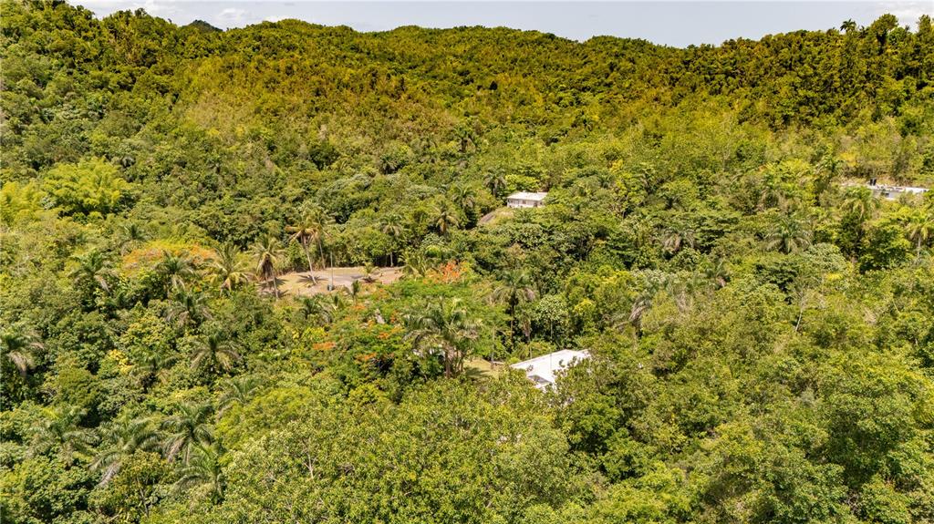 Comm Cienguetas #33, Bo Esperanza, Arecibo - 22