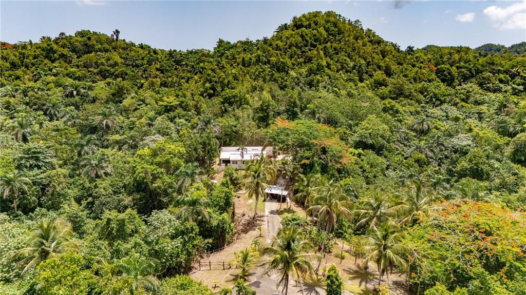 Comm Cienguetas #33, Bo Esperanza, Arecibo - 3