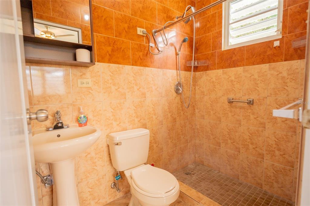 Carr 414, Sector Los Puentes, Rincon - 20