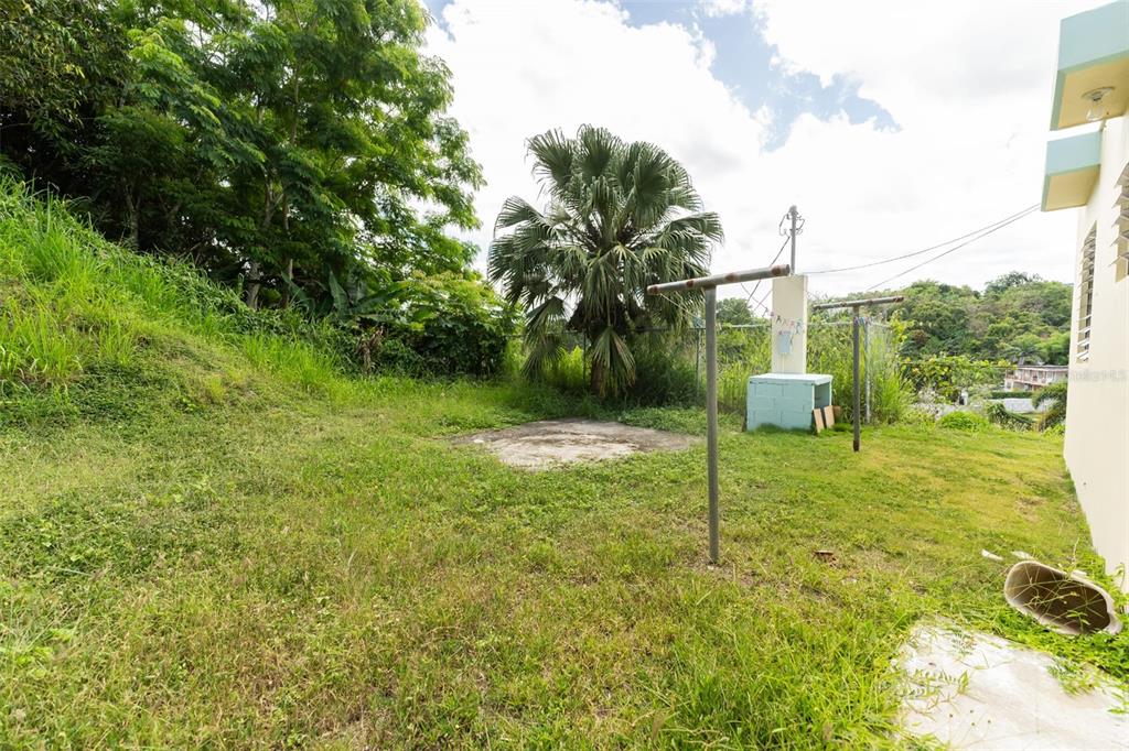 Carr 414, Sector Los Puentes, Rincon - 25