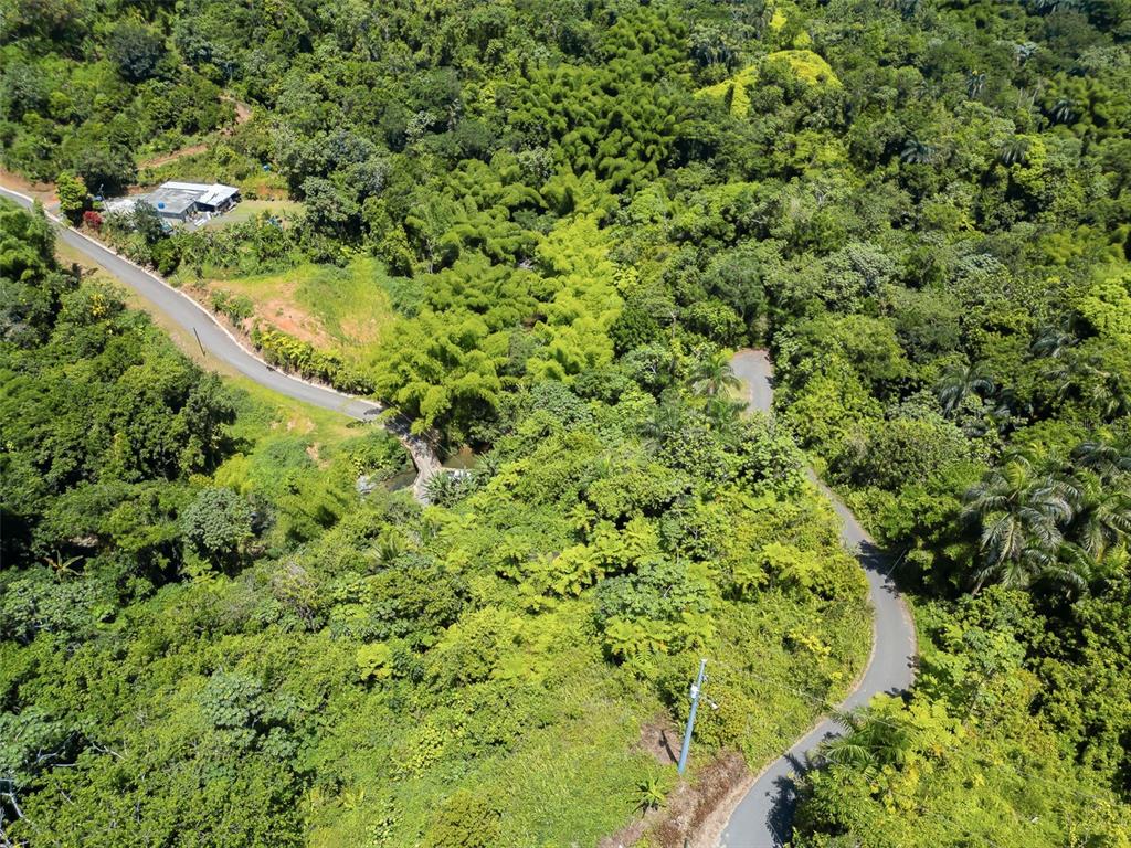 Carretera 124, Km 1.3 Bo. Buena Vista, Las Marias - 10
