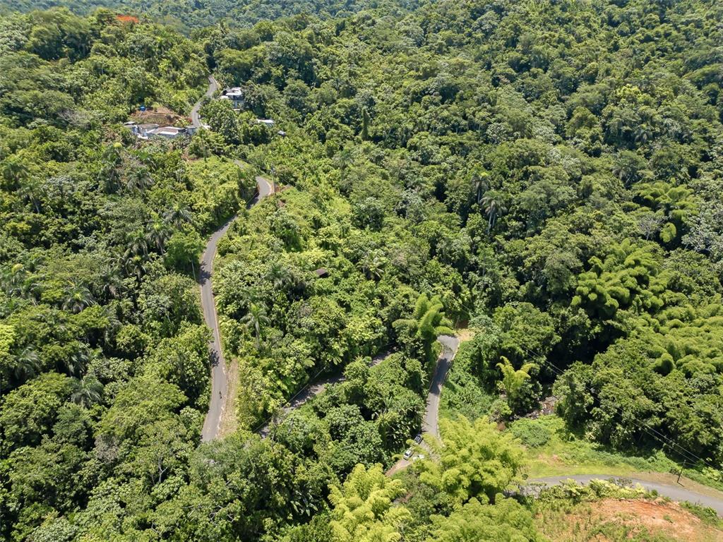 Carretera 124, Km 1.3 Bo. Buena Vista, Las Marias - 11