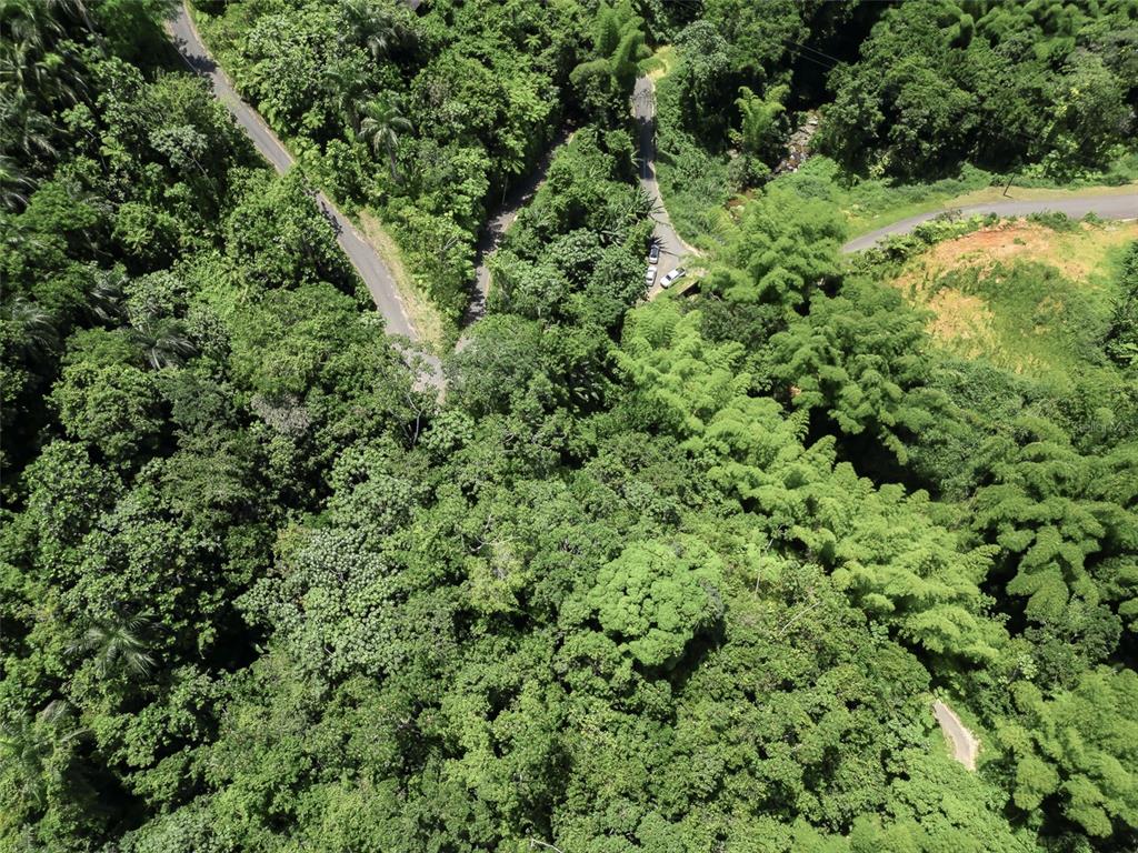 Carretera 124, Km 1.3 Bo. Buena Vista, Las Marias - 12