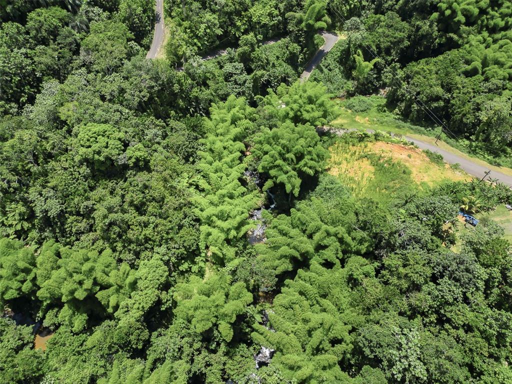Carretera 124, Km 1.3 Bo. Buena Vista, Las Marias - 13