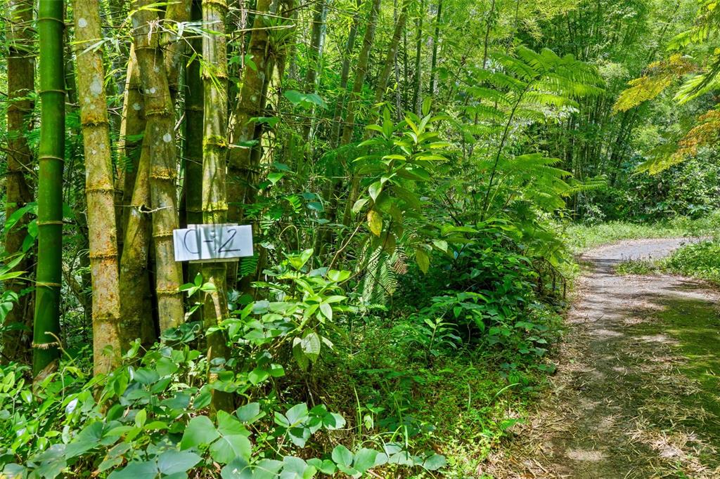 Carretera 124, Km 1.3 Bo. Buena Vista, Las Marias - 18