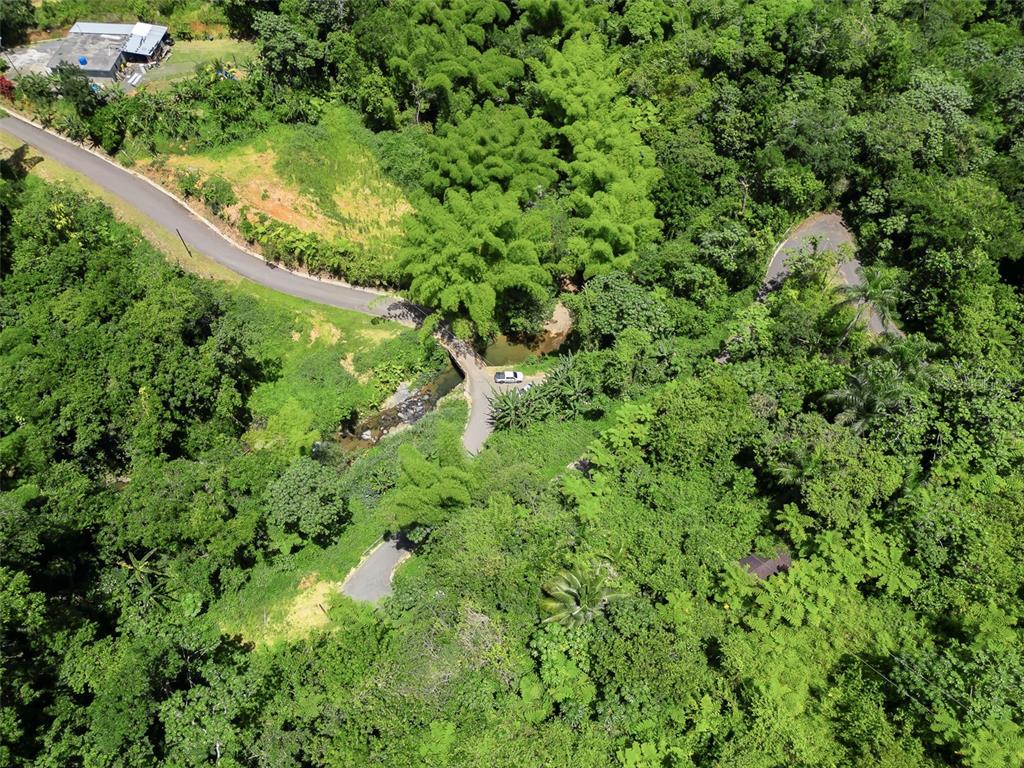 Carretera 124, Km 1.3 Bo. Buena Vista, Las Marias - 4