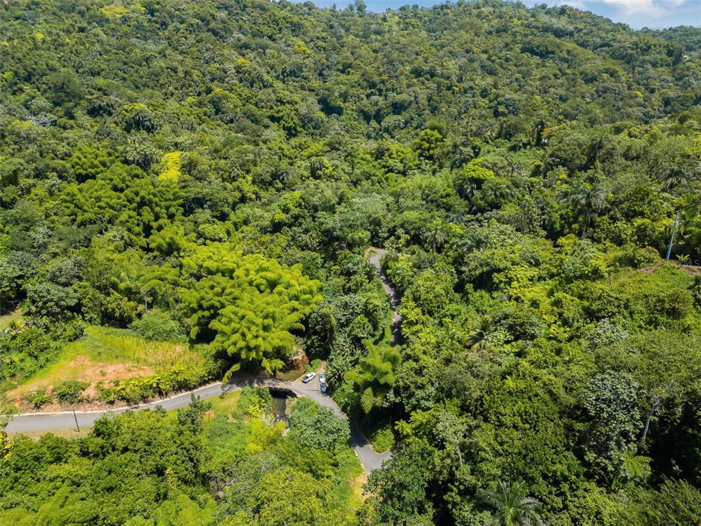 Carretera 124, Km 1.3 Bo. Buena Vista, Las Marias - 8