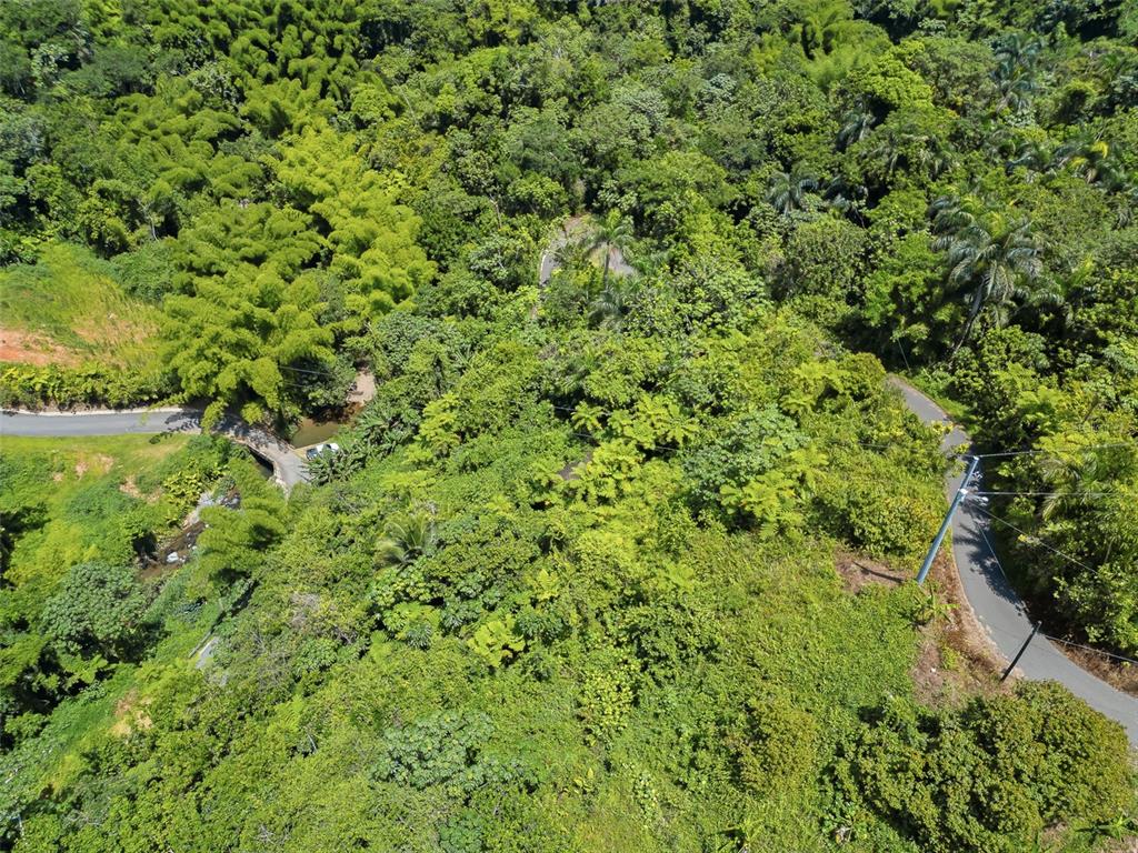 Carretera 124, Km 1.3 Bo. Buena Vista, Las Marias - 9