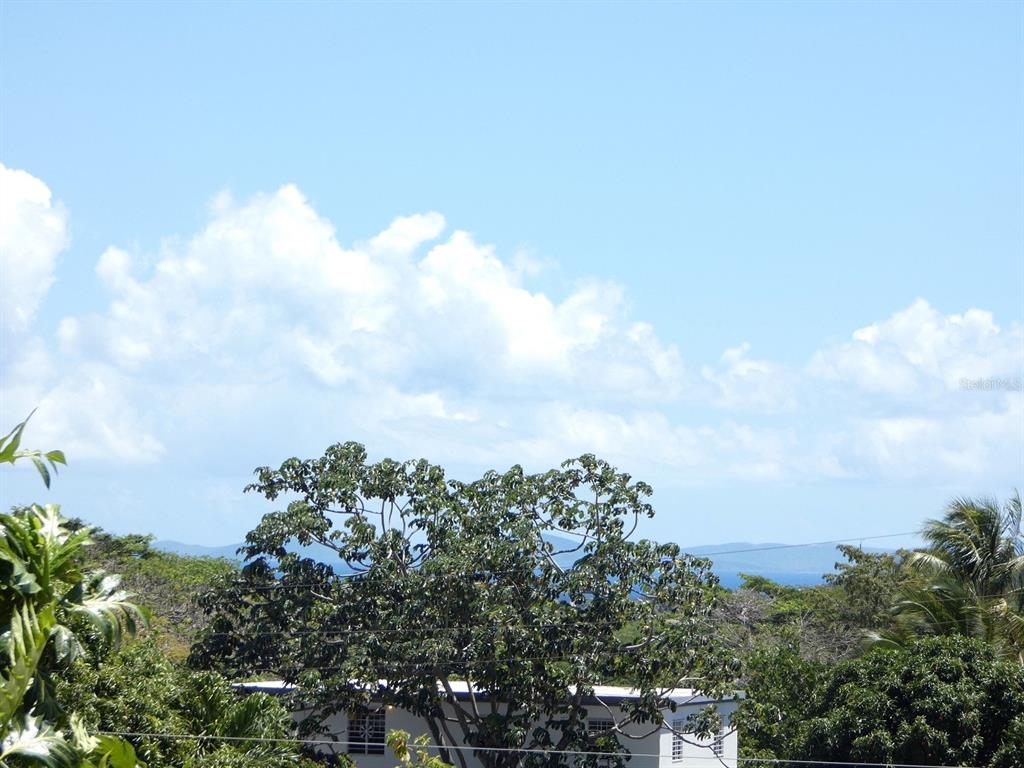 37, Calle Coral, Vieques - 25