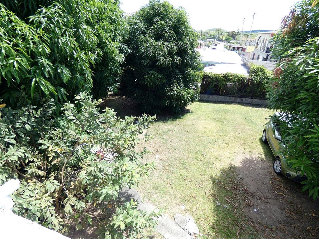 37, Calle Coral, Vieques - 27