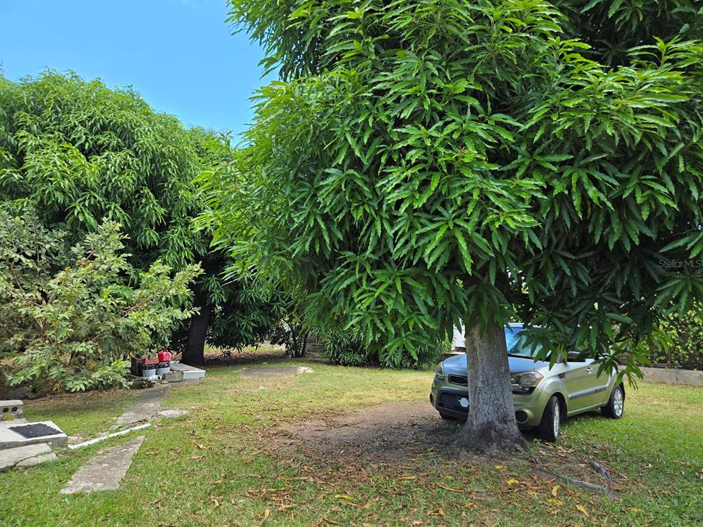 37, Calle Coral, Vieques - 28