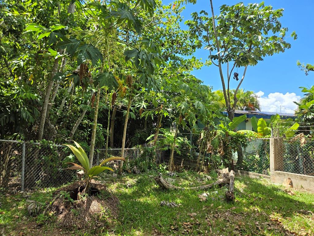 37, Calle Coral, Vieques - 29