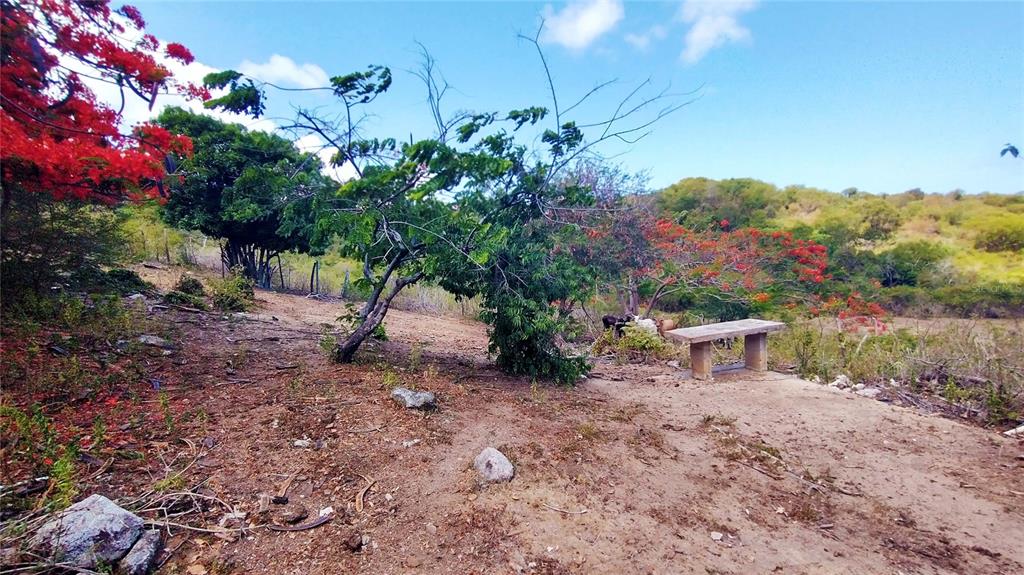 Destino No 3, Destino, Vieques - 23