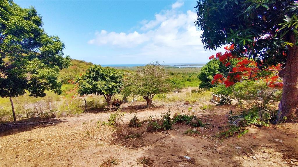 Destino No 3, Destino, Vieques - 24