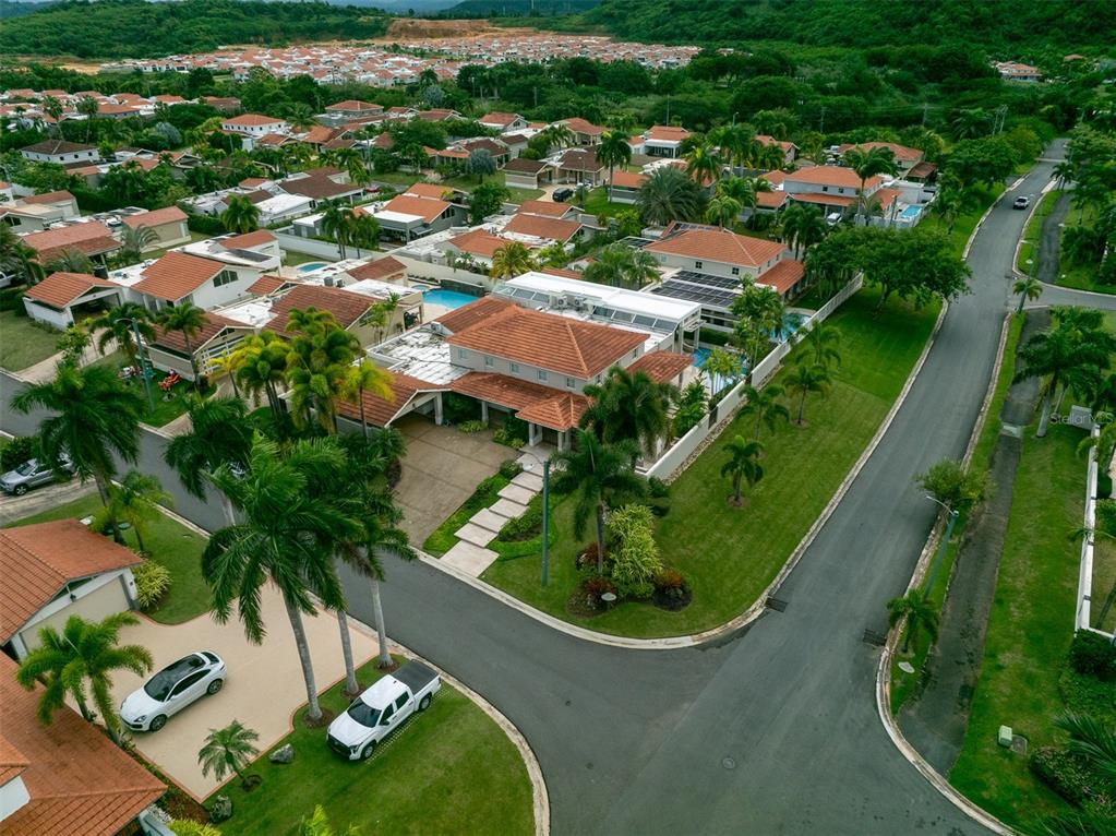 254, Sabanera, Dorado - 30
