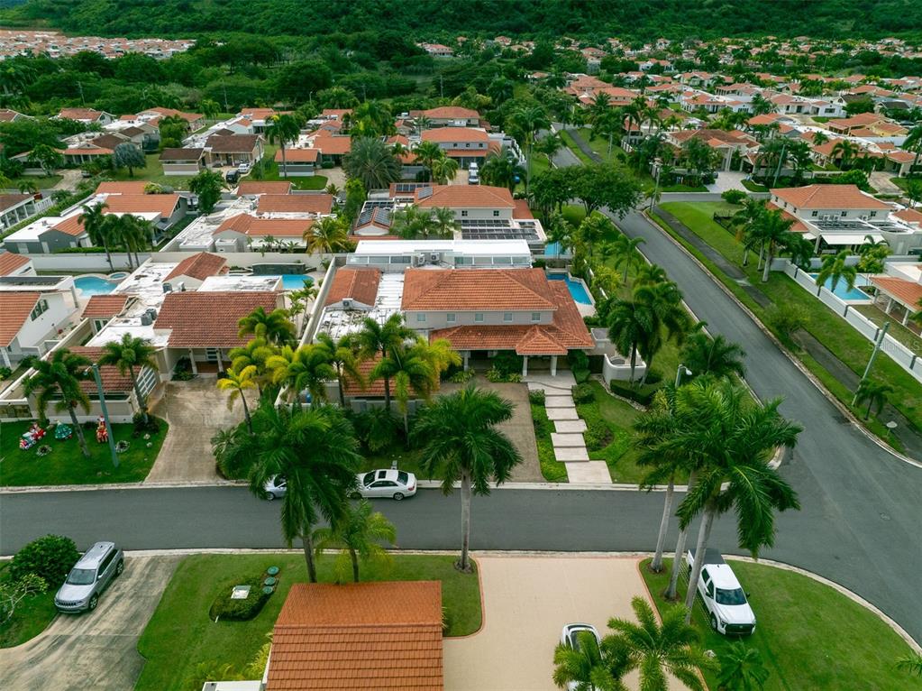 254, Sabanera, Dorado - 31
