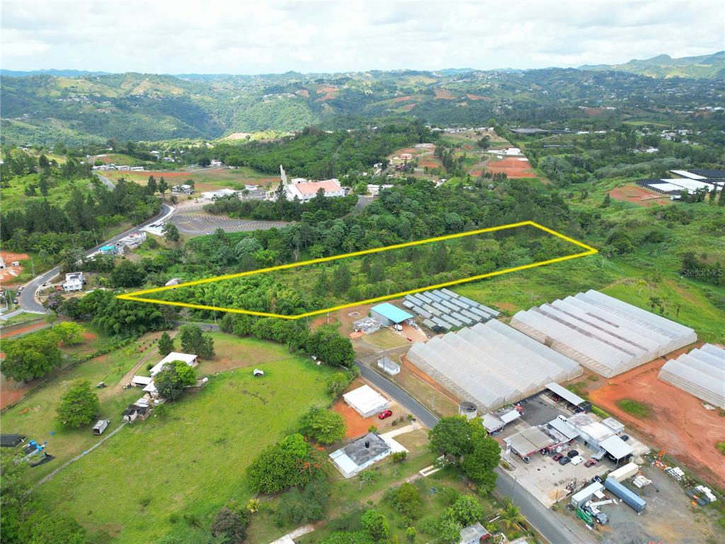 779 St., Quebradillas, Barranquitas - 13