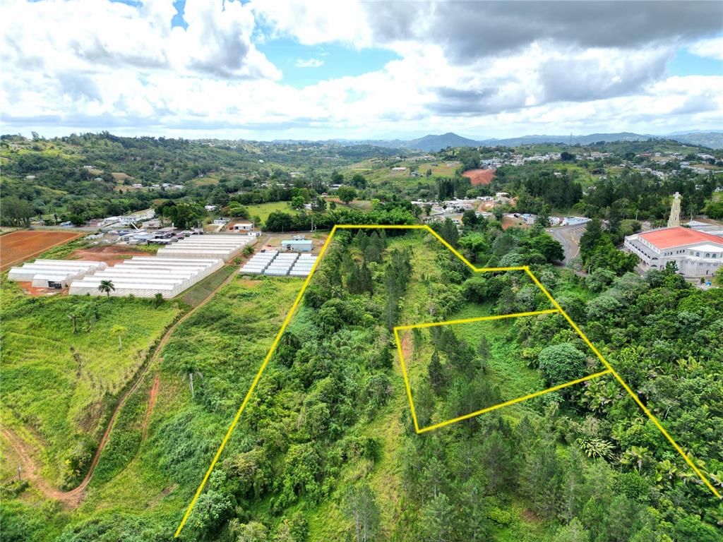 779 St., Quebradillas, Barranquitas - 14