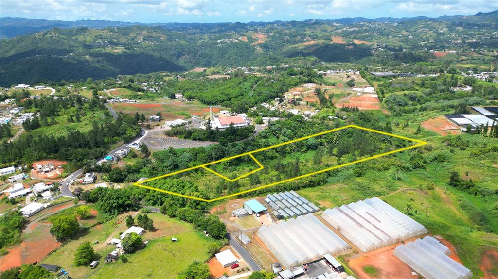 779 St., Quebradillas, Barranquitas - 5