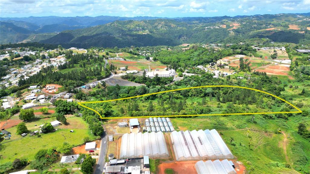 779 St., Quebradillas, Barranquitas - 6