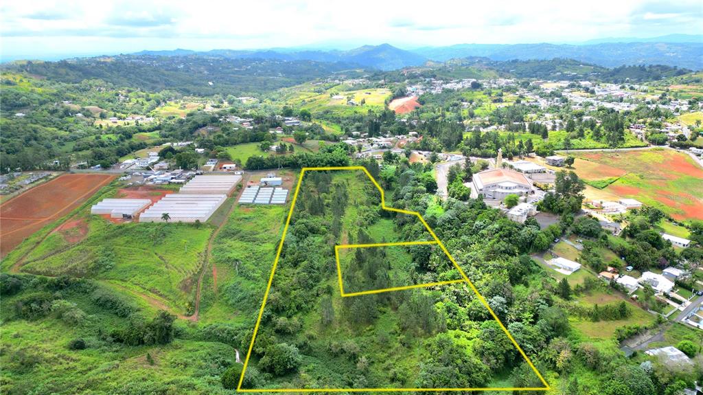 779 St., Quebradillas, Barranquitas - 7
