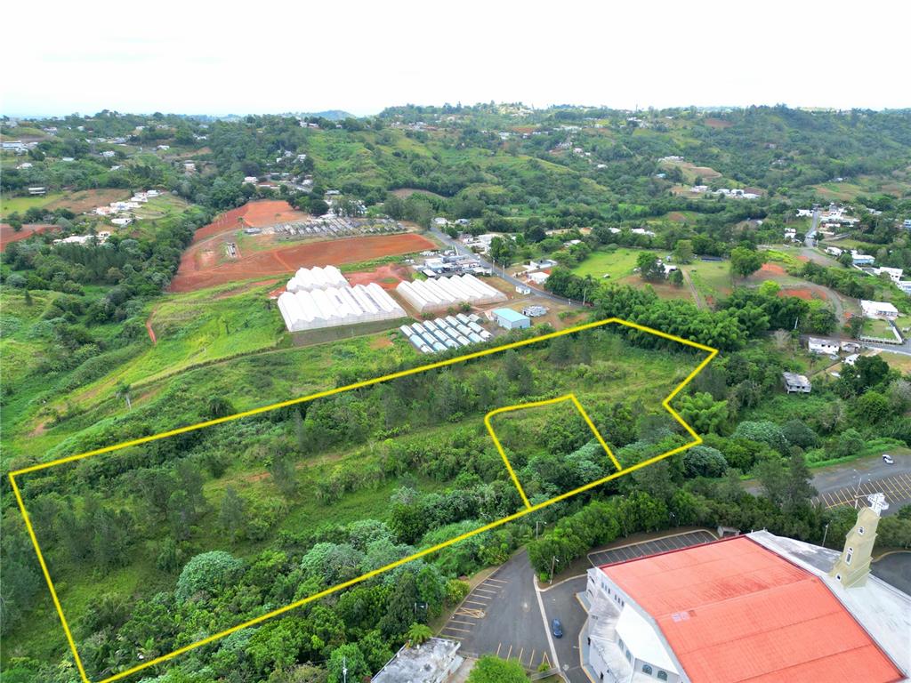 779 St., Quebradillas, Barranquitas - 8