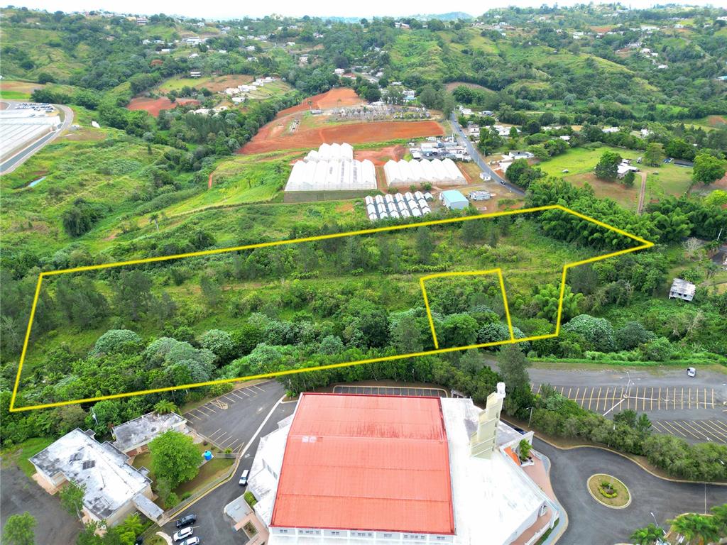 779 St., Quebradillas, Barranquitas - 9
